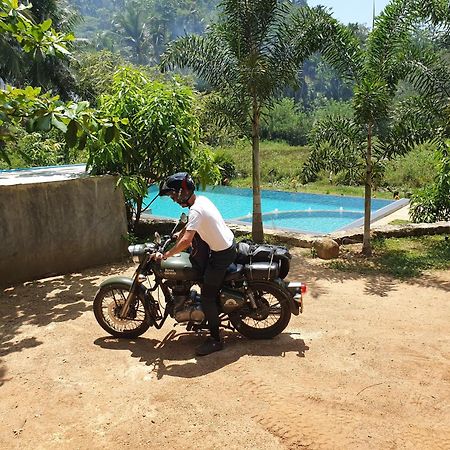 Sinharaja Hostel デニヤヤ エクステリア 写真